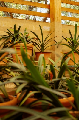 CAROLIN UNRATH PHOTOGRAPHY