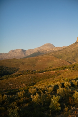 CAROLIN UNRATH PHOTOGRAPHY