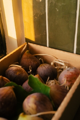 CAROLIN UNRATH PHOTOGRAPHY