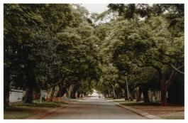 CAROLIN UNRATH PHOTOGRAPHY