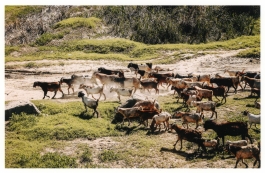 CAROLIN UNRATH PHOTOGRAPHY