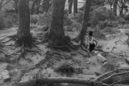 CAROLIN UNRATH PHOTOGRAPHY