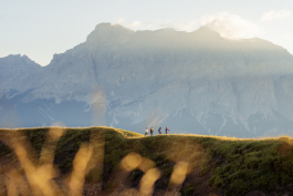 CAROLIN UNRATH PHOTOGRAPHY