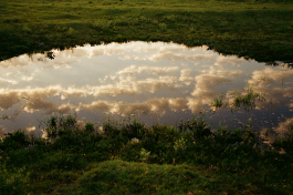 CAROLIN UNRATH PHOTOGRAPHY