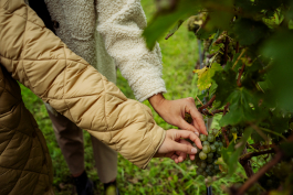 CAROLIN UNRATH PHOTOGRAPHY