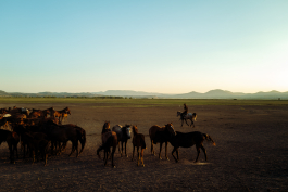 CAROLIN UNRATH PHOTOGRAPHY