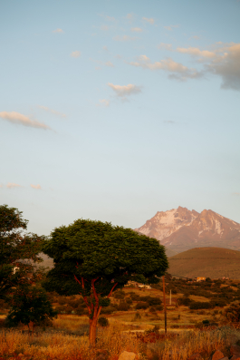 CAROLIN UNRATH PHOTOGRAPHY