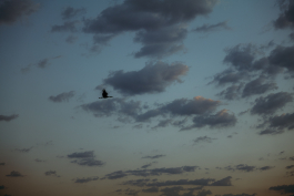 CAROLIN UNRATH PHOTOGRAPHY