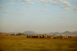 CAROLIN UNRATH PHOTOGRAPHY