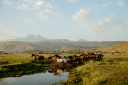 CAROLIN UNRATH PHOTOGRAPHY