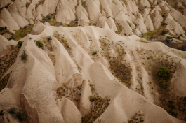 CAROLIN UNRATH PHOTOGRAPHY