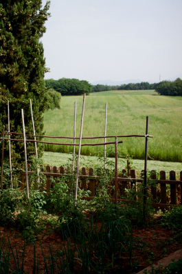 CAROLIN UNRATH PHOTOGRAPHY