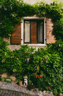 CAROLIN UNRATH PHOTOGRAPHY