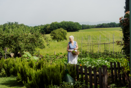 CAROLIN UNRATH PHOTOGRAPHY