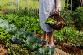 CAROLIN UNRATH PHOTOGRAPHY