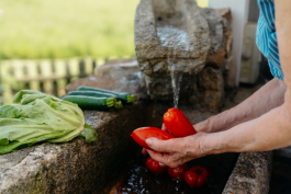 CAROLIN UNRATH PHOTOGRAPHY