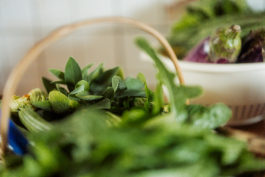 CAROLIN UNRATH PHOTOGRAPHY