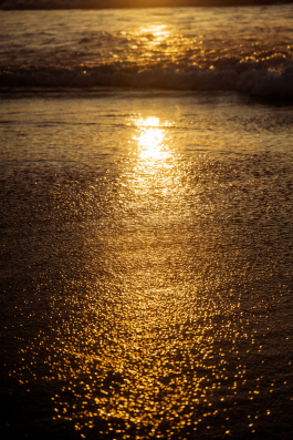 CAROLIN UNRATH PHOTOGRAPHY