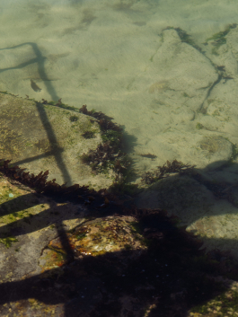 CAROLIN UNRATH PHOTOGRAPHY