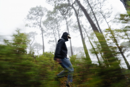 CAROLIN UNRATH PHOTOGRAPHY