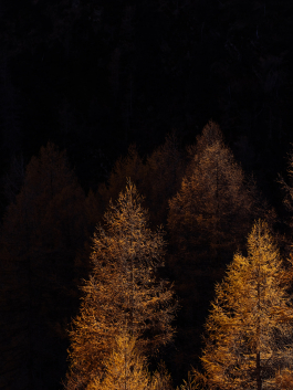 CAROLIN UNRATH PHOTOGRAPHY