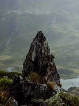 CAROLIN UNRATH PHOTOGRAPHY