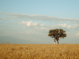 CAROLIN UNRATH PHOTOGRAPHY