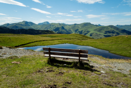 CAROLIN UNRATH PHOTOGRAPHY