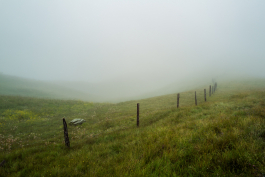 CAROLIN UNRATH PHOTOGRAPHY