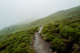 CAROLIN UNRATH PHOTOGRAPHY