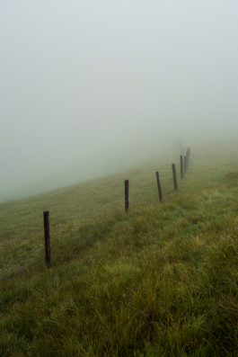 CAROLIN UNRATH PHOTOGRAPHY