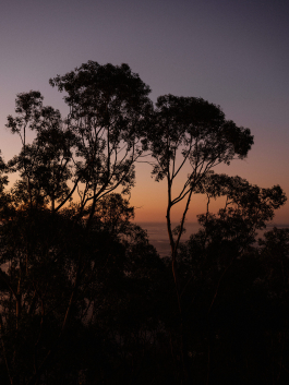 CAROLIN UNRATH PHOTOGRAPHY