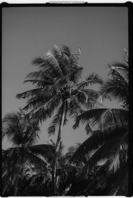 CAROLIN UNRATH PHOTOGRAPHY