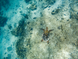 CAROLIN UNRATH PHOTOGRAPHY