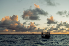 CAROLIN UNRATH PHOTOGRAPHY