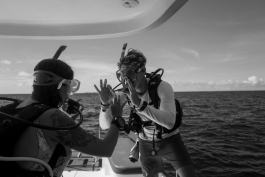 CAROLIN UNRATH PHOTOGRAPHY