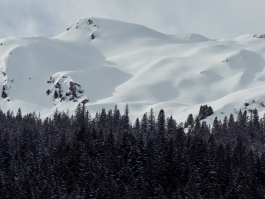 CAROLIN UNRATH PHOTOGRAPHY