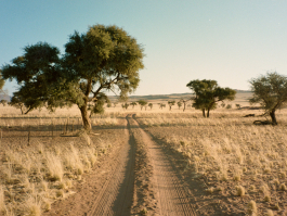 CAROLIN UNRATH PHOTOGRAPHY