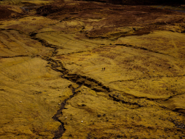 CAROLIN UNRATH PHOTOGRAPHY