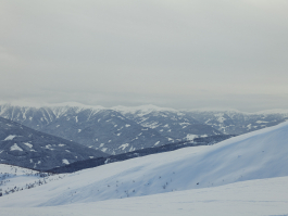 CAROLIN UNRATH PHOTOGRAPHY