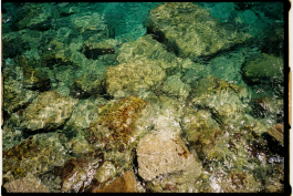 CAROLIN UNRATH PHOTOGRAPHY