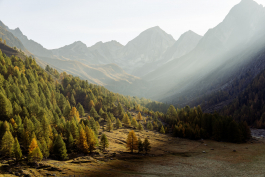 CAROLIN UNRATH PHOTOGRAPHY