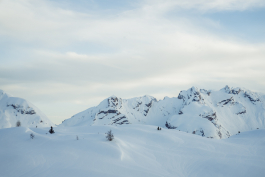 CAROLIN UNRATH PHOTOGRAPHY