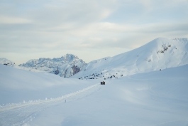 CAROLIN UNRATH PHOTOGRAPHY