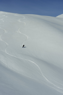 CAROLIN UNRATH PHOTOGRAPHY