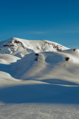 CAROLIN UNRATH PHOTOGRAPHY