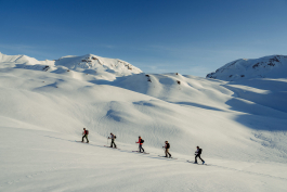 CAROLIN UNRATH PHOTOGRAPHY