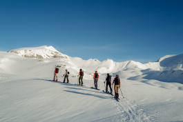 CAROLIN UNRATH PHOTOGRAPHY