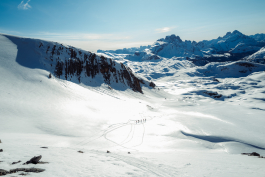 CAROLIN UNRATH PHOTOGRAPHY