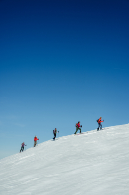 CAROLIN UNRATH PHOTOGRAPHY